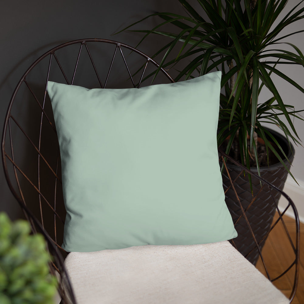 Throw Pillow