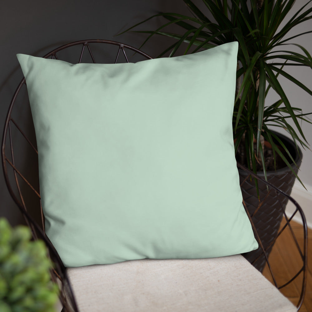 Throw Pillow